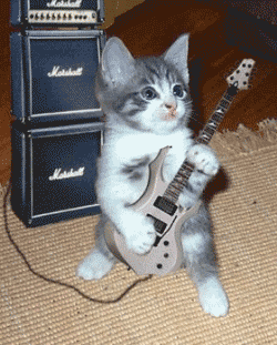 1120.gif